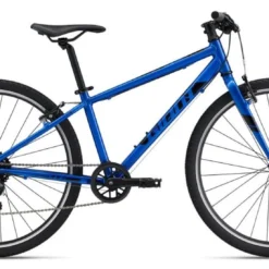 Giant ARX 26"