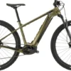 Cannondale Trail Neo 2