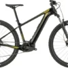 Cannondale Trail Neo 3