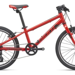 Giant ARX 20"